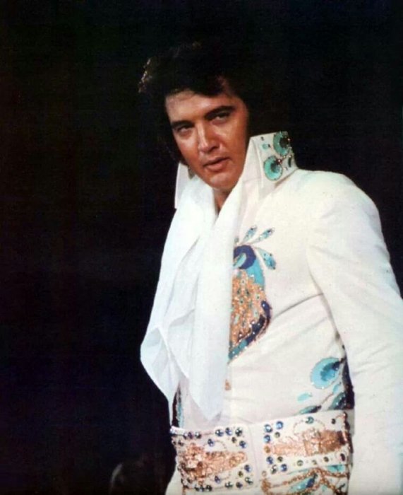 peacock-suit-jpg.8848
