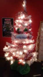 IMG_20211208_161628685.jpg
